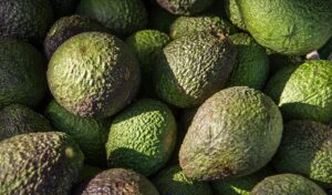 Aguacate Hass Ecológico