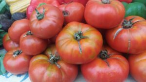 Tomate Ensalada Ecológico
